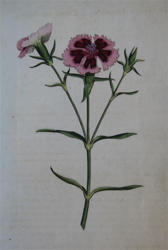 Curtis, William - The Botanical Magazine; or, Flower Garden Displayed, vols 2, 4, 7, 9 and 11, with 356 hand